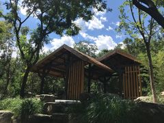 -阳台山自然风景区