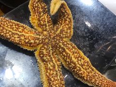 -老东镇啤酒屋海鲜加工·蒸汽海鲜·海鲜烧烤(台东店)