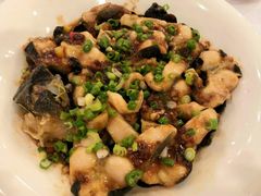 酱蒸中华鲟龙鱼-朱仔记食府(江南大道店)