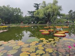 -国家植物园南园