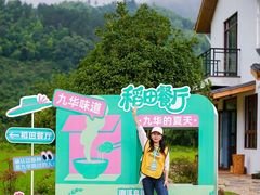 -衢州大荫山丛林飞越探险乐园
