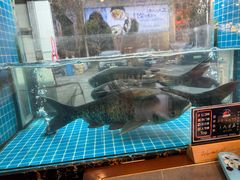 -浔味·山屿湖·正宗淳牌全鱼宴老字号
