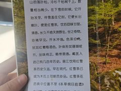 -太婆天府山珍酒楼(亚运村店)