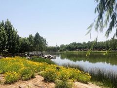 -大兴滨河森林公园