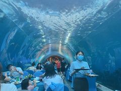 -海棠湾洲际-涛·海底餐厅·美人鱼·自助餐·海底隧道