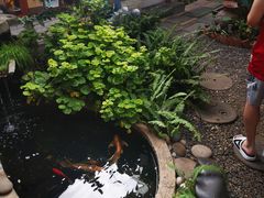 -大富贵烧烤公司(双廊店)
