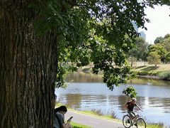 -墨尔本皇家植物园