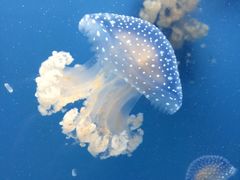 -常州海昌海洋探索馆