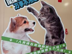 -凯德MALL(望京店)