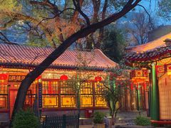 -白家大院·王府宫廷菜(苏州街店)