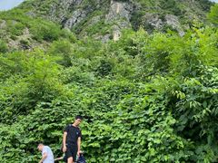-九峰山