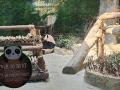 -灵玲国际马戏城
