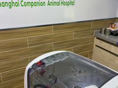 -爱侣宠医·鹦鹉专科·小型哺乳类·异宠专科(灵石路店)