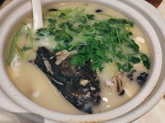 砂锅胜瓜豆腐鱼头汤-港丽餐厅(高德置地店)