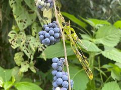 -会稽山峡洞漂流-上青古道