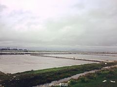 iphone_upload_pic-莺歌海盐场