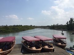 -东寨港红树林旅游区