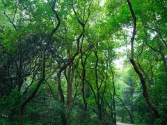 -广州市白云山风景名胜区