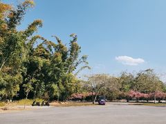 -中国科学院西双版纳热带植物园