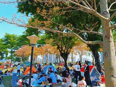 -二沙岛艺术公园