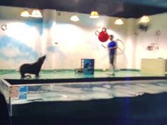 -嘉兴海底世界