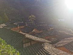-杨家堂村
