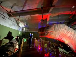 -恐龙探索乐园(磁器口店)