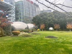 -北外滩滨江绿地