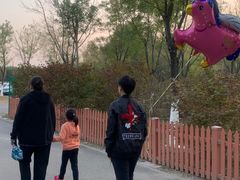 -东郊湿地公园