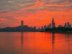 -深圳湾公园(南山区)