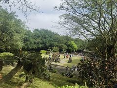 -海口火山口国家地质公园