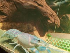 -上海海洋水族馆