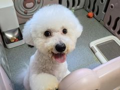 -熊小胖宠物生活馆(天华园店)