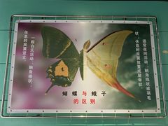 -上海昆虫博物馆