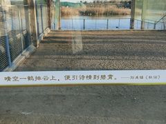 -盐城丹顶鹤湿地生态旅游区