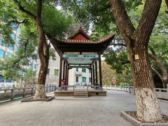 -长沙市青少年宫