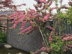 -川流不息(北蔡休闲广场店)