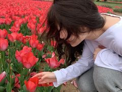 -杭州湾海上花田景区