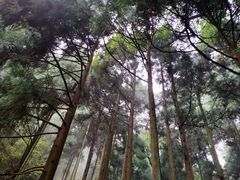 -东天目山风景区