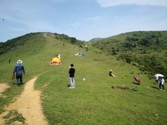 -大姆山草场