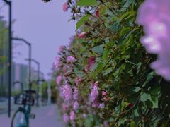 -南京眼步行桥