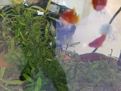 -好宜家眼视光·蔡司店(临汾店)