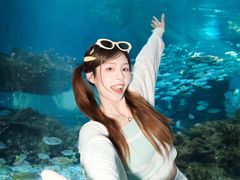 -海合安武汉极地海洋公园