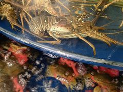 -海景壹号大酒店(滨湖店)