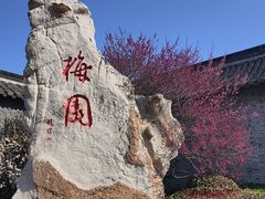 -梅园