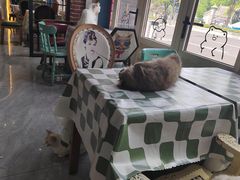 -猫小院猫主题餐厅(南锣旗舰店)