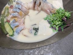 -鲜潭蒸汽石锅鱼(五道口购物中心店)