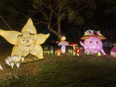 -琅岐红光湖公园