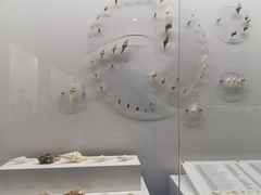 -贝壳王国博物馆
