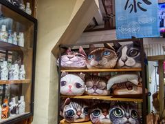 -猫咪博物馆(顶澳仔猫街店)